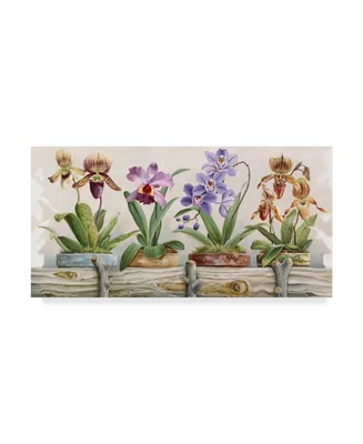 Lisa Audit 'Flower Pots 5' Canvas Art - 10" x 19"