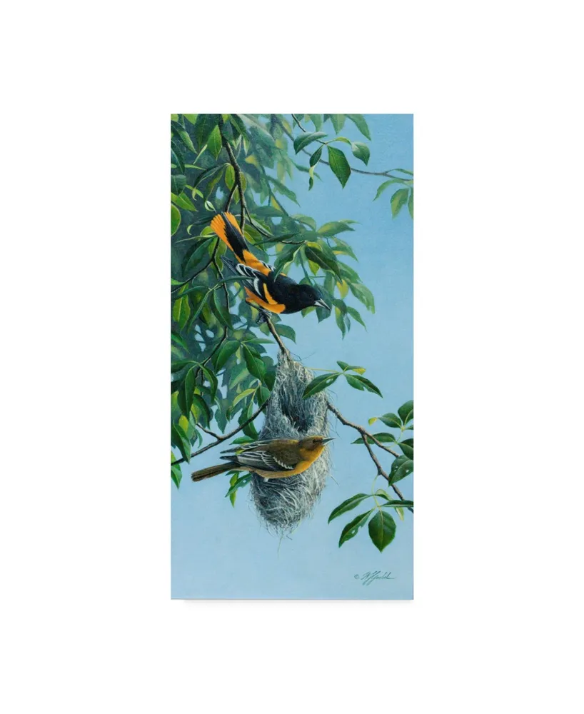 Wilhelm Goebel 'Nesting Orioles' Canvas Art - 10" x 19"