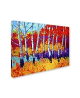 Marion Rose 'Autumn Riches' Canvas Art - 35" x 47"