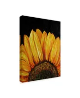 Marcia Baldwin 'Sunflower Sunflower' Canvas Art - 24" x 32"