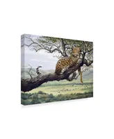 Harro Maass 'Leopard In Tree' Canvas Art - 47" x 35"