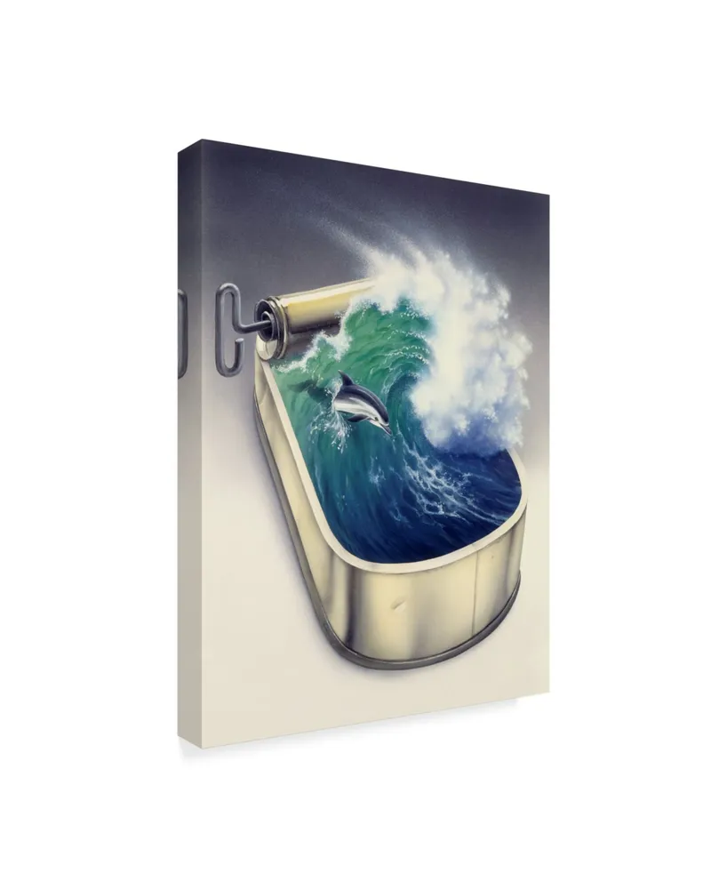 Harro Maass 'Dolphin In Wave' Canvas Art - 18" x 24"