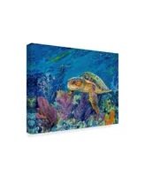 Lucy P. Mctier 'Loggerhead Turtle' Canvas Art - 24" x 18"