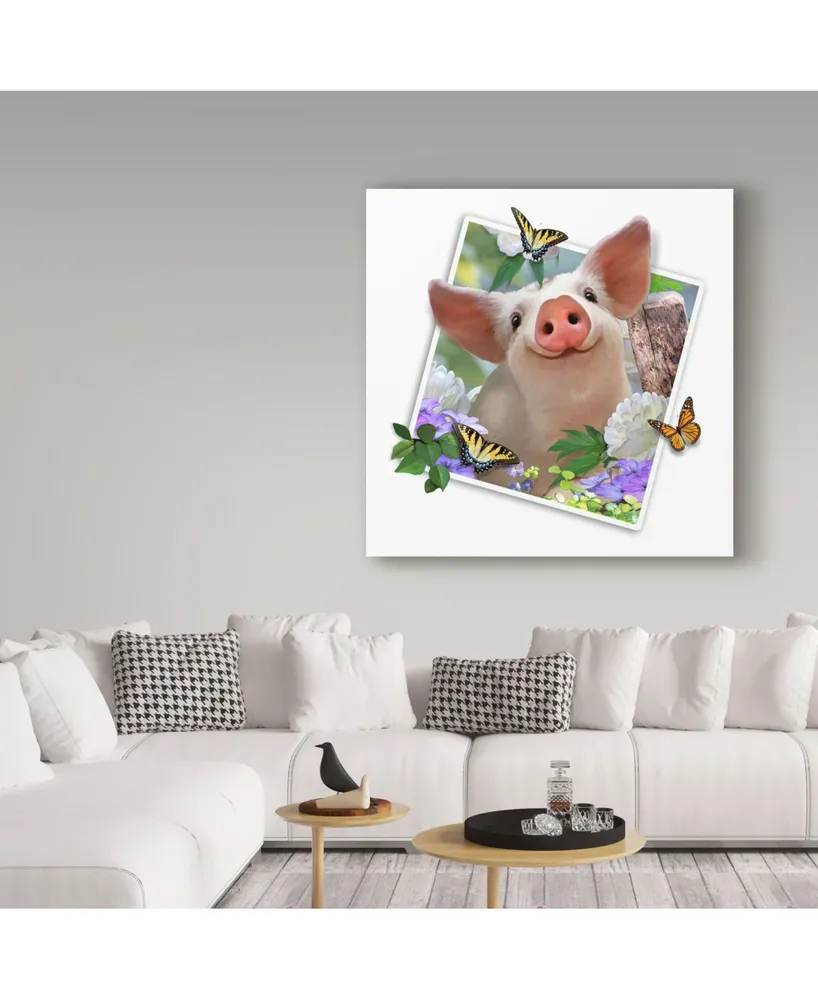 Howard Robinson 'Baby Pig Photograph' Canvas Art - 18" x 18"