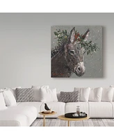 Mary Miller Veazie 'Mary Beth The Christmas Donkey' Canvas Art - 35" x 35"