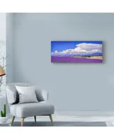 Michael Blanchette Photography 'Cloud Bank Over Lavender Panorama' Canvas Art - 32" x 14"