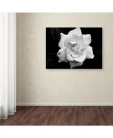 Kurt Shaffer 'Gardenia in Black and White' Canvas Art