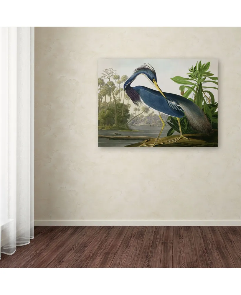 John James Audubon 'Louisiana Heron' Canvas Art - 24" x 18"