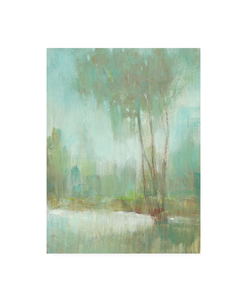 Tim OToole Mist in the Glen Ii Canvas Art - 27" x 33.5"