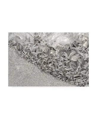 Kurt Shaffer Photographs Ice crystals in the sun Canvas Art