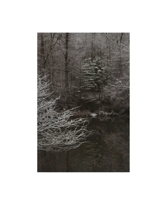 Kurt Shaffer Photographs Serene December Scene Canvas Art