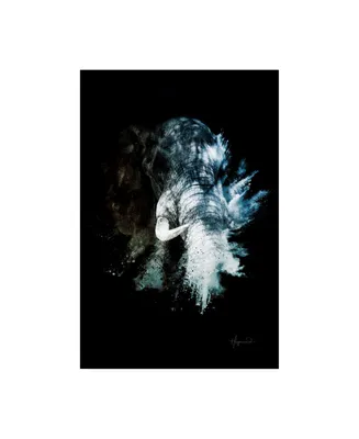 Philippe Hugonnard Wild Explosion Collection - the Elephant Ii Canvas Art