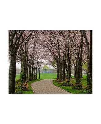 Chuck Burdic Cherry Blossom Winding Path Canvas Art