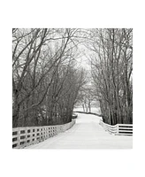 Nicholas Bel Country Lane in Winter Canvas Art - 36.5" x 48"