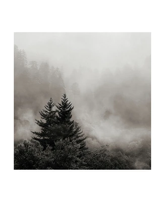 Nicholas Bel Rising Mist, Smoky Mountains Canvas Art - 15.5" x 21"