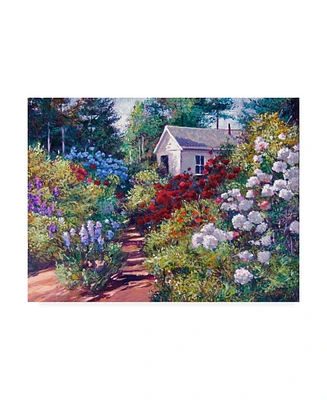 David Lloyd Glover The Gardeners Shed Canvas Art
