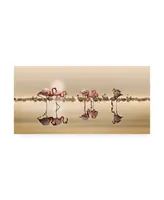 Nasser Osman Flamingos Reflection Canvas Art