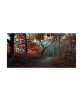 Leif Londal The Red Forest Canvas Art - 20" x 25"