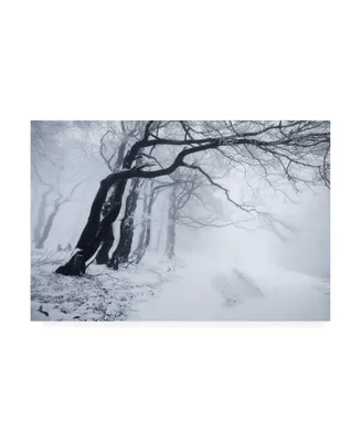 Daniel Rericha In the Winter Forest Canvas Art