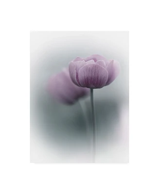 Purple Bamboo Purple Tulip Vignette Canvas Art - 37" x 49"