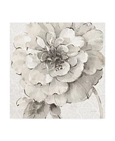 Lisa Audit Indigold Vii Gray Canvas Art - 20" x 25"