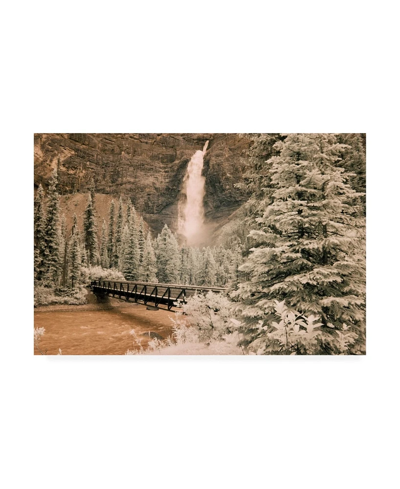 Monte Nagler Takkakaw Falls and Bridge Canadian Rockies Canada Canvas Art - 20" x 25"