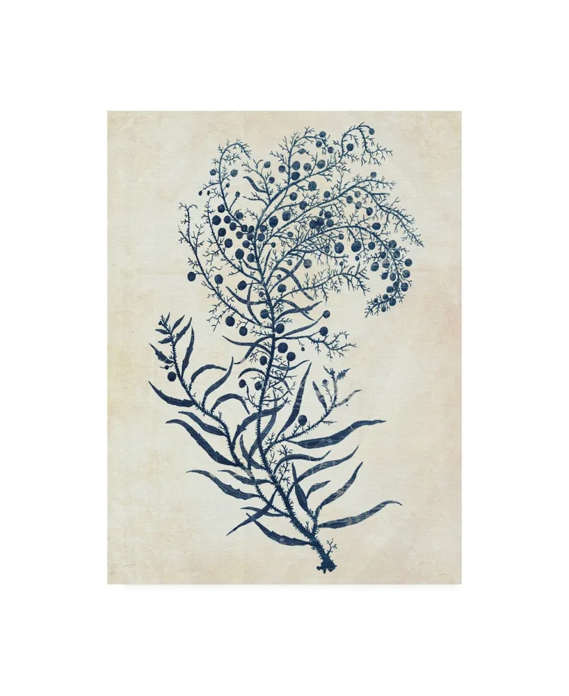 Fab Funky Indigo Blue Seaweed C Canvas Art