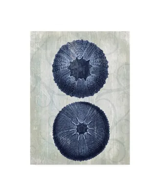 Fab Funky Indigo Blue Sea Urchins B Canvas Art