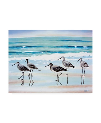 Patrick Sullivan 5 Birds Canvas Art