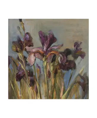 Danhui Nai Spring Iris I Canvas Art