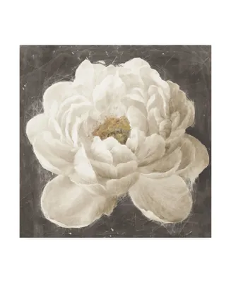 Danhui Nai Vivid Floral I White Flower Canvas Art - 19.5" x 26"