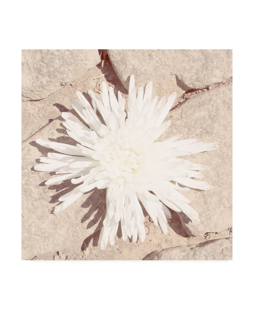 Jason Johnson Floral Canvas Art - 19.5" x 26"