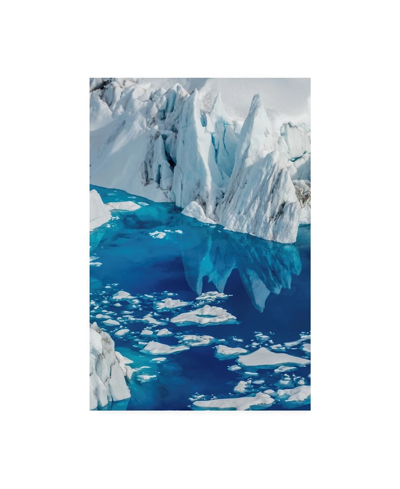 Dan Ballard Iceberg Floating Canvas Art - 19.5" x 26"