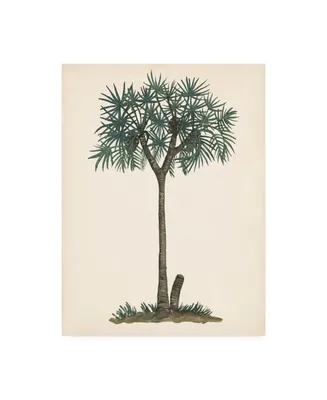 Melissa Wang Palm Tree Study Iii Canvas Art - 27" x 33.5"