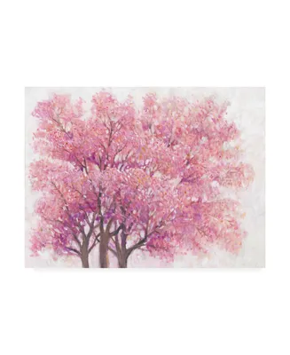 Tim OToole Pink Cherry Blossom Tree I Canvas Art