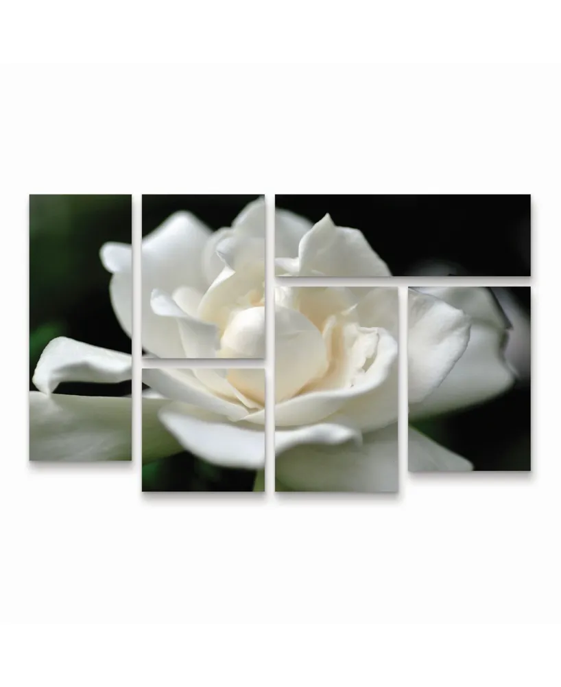 Trademark Global Kurt Shaffer Lovely Gardenia Multi Panel Art Set