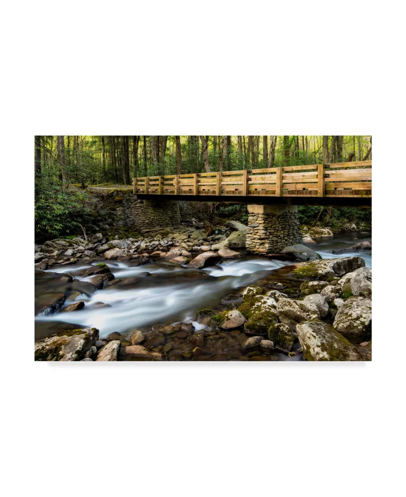 Danny Head Bridge and Cascade I Canvas Art