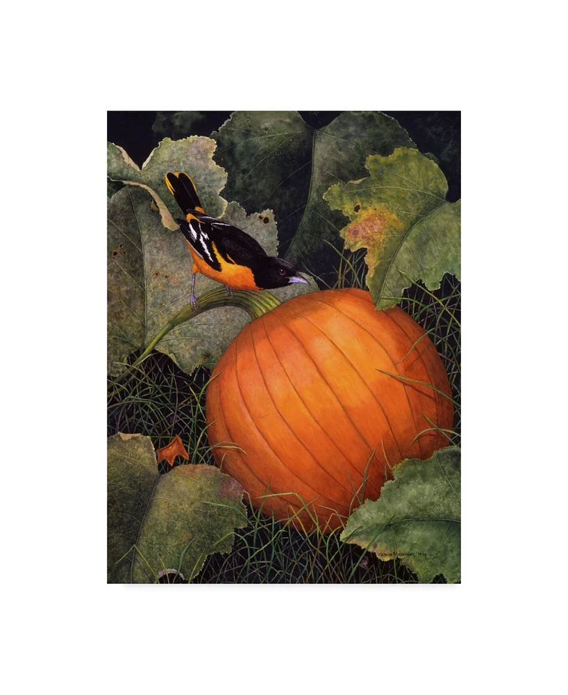 Marcia Matcham Oriole and Pumpkin Canvas Art