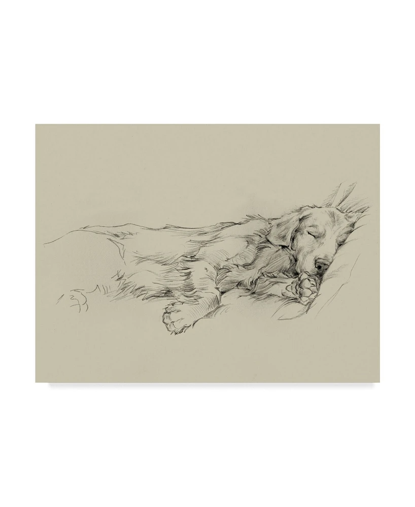 Ethan Harper Dog Days Iii Canvas Art - 37" x 49"