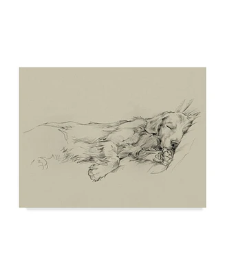 Ethan Harper Dog Days Iii Canvas Art - 37" x 49"