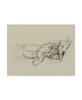 Ethan Harper Dog Days Iii Canvas Art - 37" x 49"