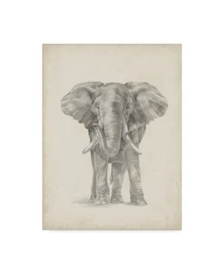 Ethan Harper Elephant Sketch Ii Canvas Art