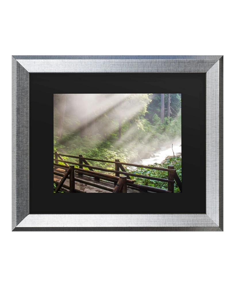 Pierre Leclerc Forest Sunlight Matted Framed Art - 27" x 33"