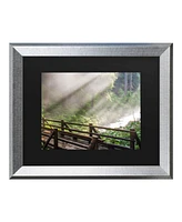 Pierre Leclerc Forest Sunlight Matted Framed Art - 27" x 33"