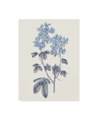 Wild Apple Portfolio Blue Botanical Iii Canvas Art