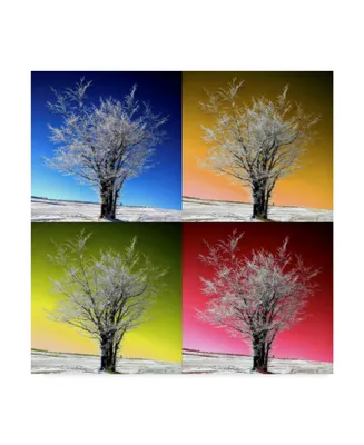 Philippe Sainte-Laudy Tree Color Panels Canvas Art - 15" x 20"