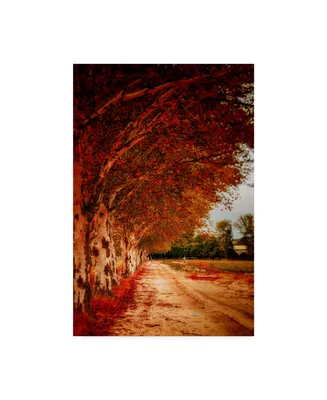 Pixie Pics Autumn Paths Canvas Art - 15" x 20"