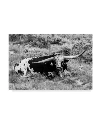 Tyler Stockton B&W Longhorn I Canvas Art - 20" x 25"