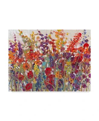 Tim Otoole Variety of Flowers Ii Canvas Art