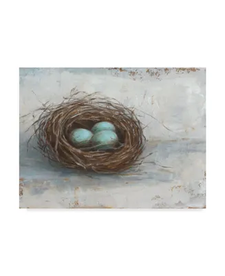 Ethan Harper Rustic Bird Nest I Canvas Art - 20" x 25"